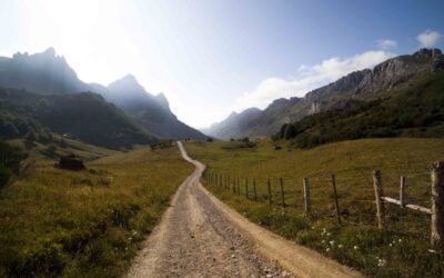 Tiempos de constancia