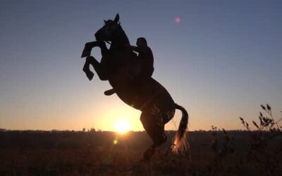 Y vos, ¿a qué te dedicas?