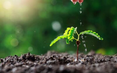 El Arte está en el Proceso