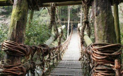 Esa extraña sensación de “improductividad”